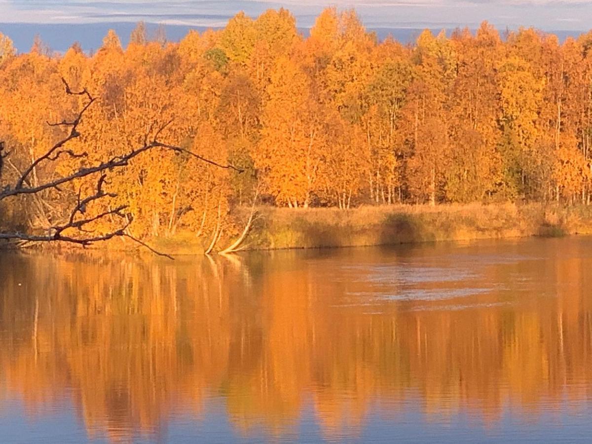 Вилла Luxus Tiny House Saagala Торнио Экстерьер фото